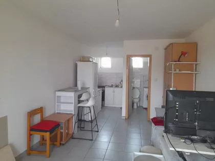 Salajka | 4zida.rs