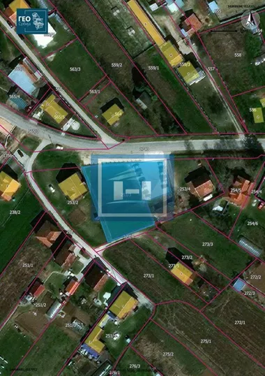 Vinorača