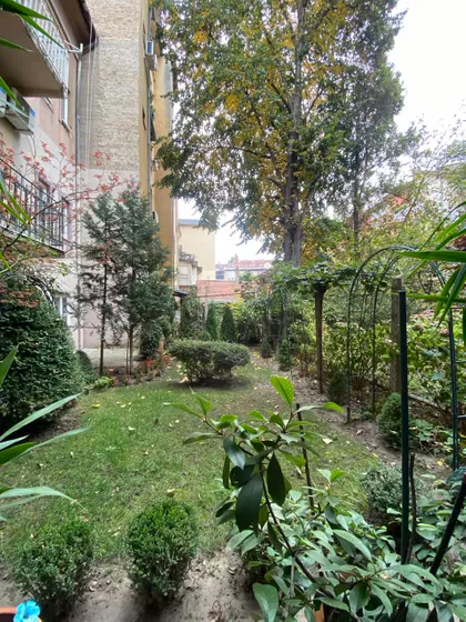 Novi Sad - Centar | 4zida.rs