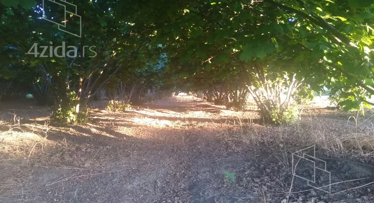 Poljoprivredno zemljište | 4zida