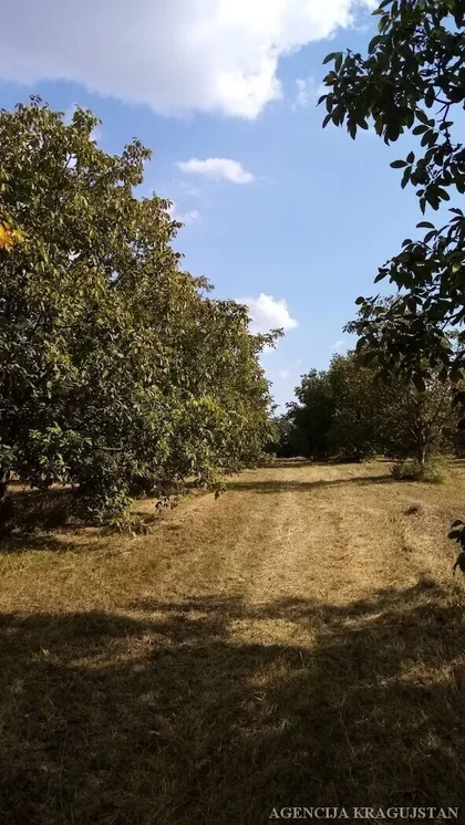 Čumić | 4zida.rs