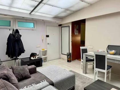 Bulevar Despota Stefana | 4zida.rs