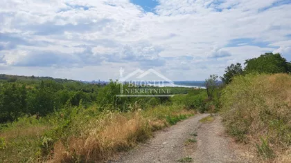 Ždralova | 4zida.rs