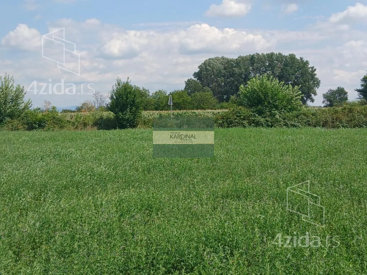 Plac | 4zida