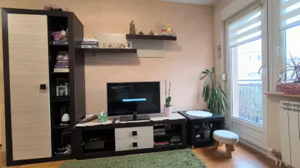 Paje Jovanovića | 4zida.rs