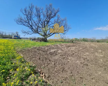 Gornja Trnava | 4zida.rs