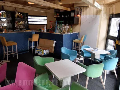 ZELENI VENAC | 4zida.rs