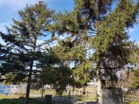 Lisović, Barajevo opština, Beograd | 4zida.rs