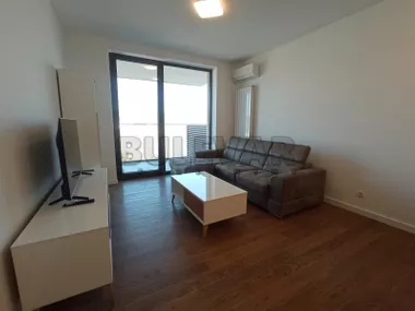 Blagoja Parovića