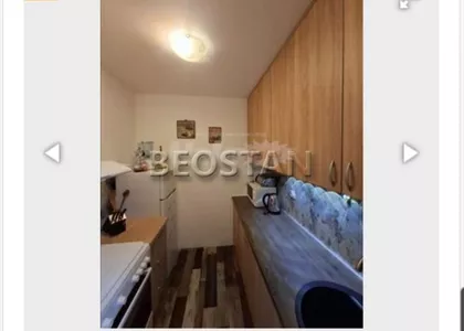 Dr Ivana Ribara | 4zida.rs