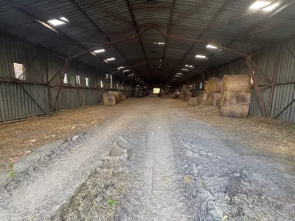Knićanin | 4zida.rs