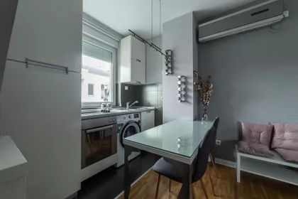 Vase Pelagića | 4zida.rs