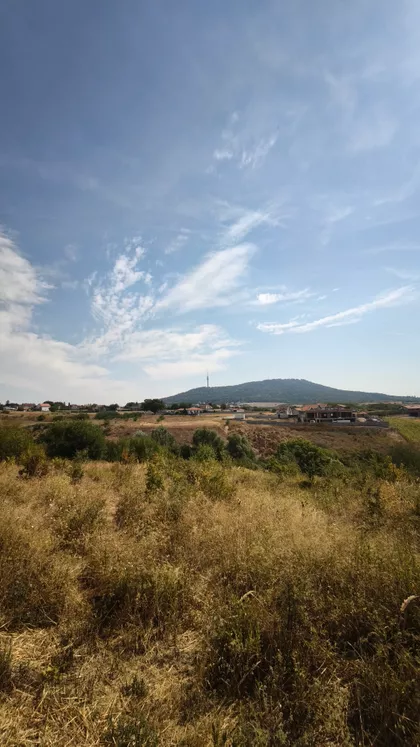 Hrastov Zapis | 4zida.rs