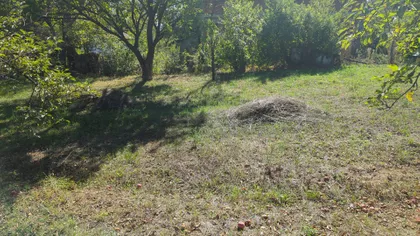 Slobodana Radoševića | 4zida.rs
