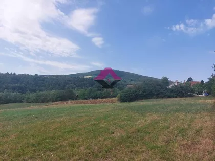 Karađorđeva | 4zida.rs