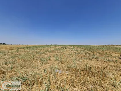Sremskih partizana | 4zida.rs