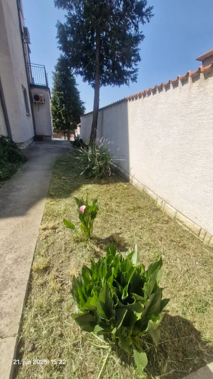 Višnjica | 4zida.rs