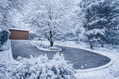 Brestovnik | 4zida.rs