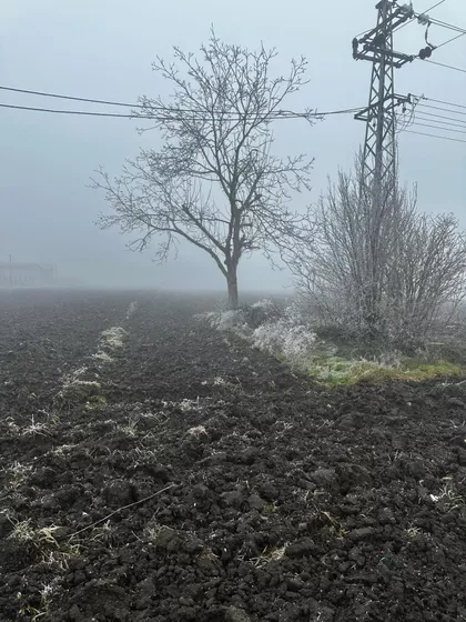 Radinački Put | 4zida.rs