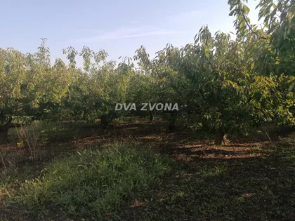 Krčedin | 4zida.rs