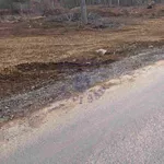 Poljoprivredno zemljište | 4zida