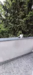 Beograd, Zemun opština, Zemun, Zemun Polje | 4zida.rs | 4zida.rs