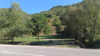 Živojina Mišića | 4zida.rs