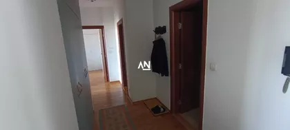 Živka Davidovića | 4zida.rs