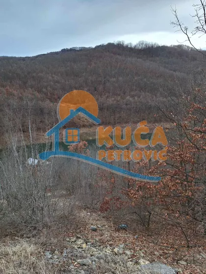 Zavojsko Jezero | 4zida.rs