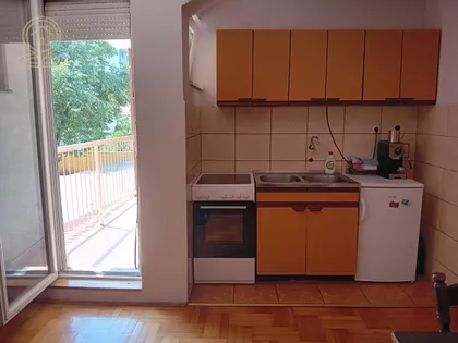 Šojka | 4zida.rs