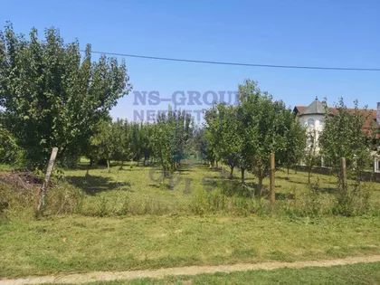 Stari Futog | 4zida.rs
