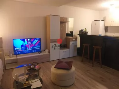 Gospodar Jevremova