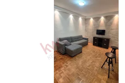 Dr Ivana Ribara | 4zida.rs