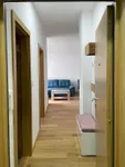 Novi Sad - Centar, Stari Grad, Gradske lokacije, Novi Sad | 4zida.rs | 4zida.rs