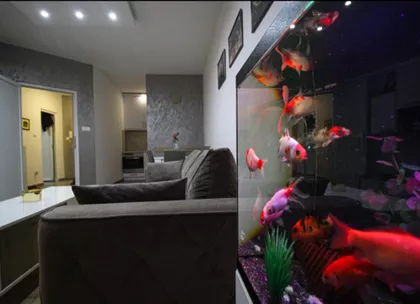 Kralja Milana 53 | 4zida.rs