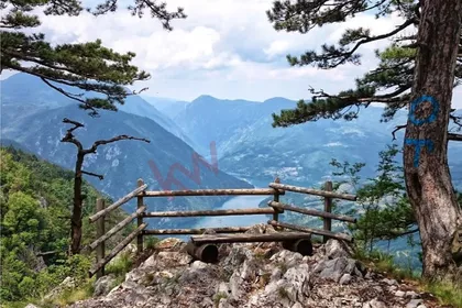 Planina Tara | 4zida.rs