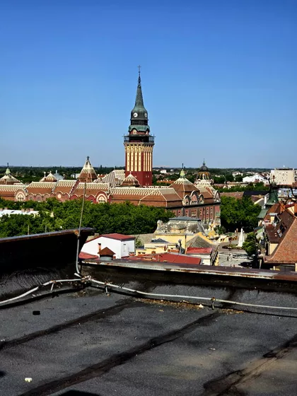 Šenoina | 4zida.rs