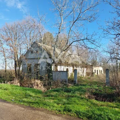 Bački Brestovac | 4zida.rs