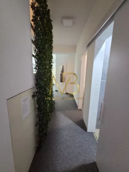 Arčibalda Rajsa | 4zida.rs