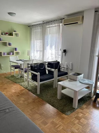 Vojislava Ilića