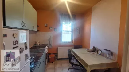 Nova Detelinara | 4zida.rs