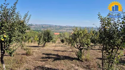 Ljube Bogosavljevića | 4zida.rs