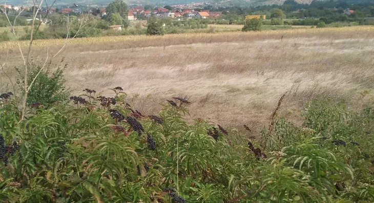 Poljoprivredno zemljište | 4zida