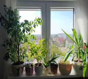 Borča, Palilula opština, Beograd, 3.0 stan | 4zida.rs