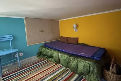 Cara Dušana | 4zida.rs