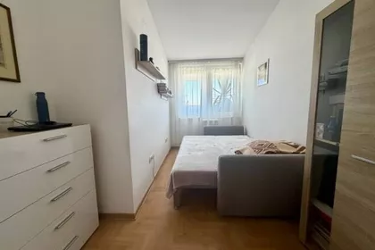 Druge Srpske Armije | 4zida.rs