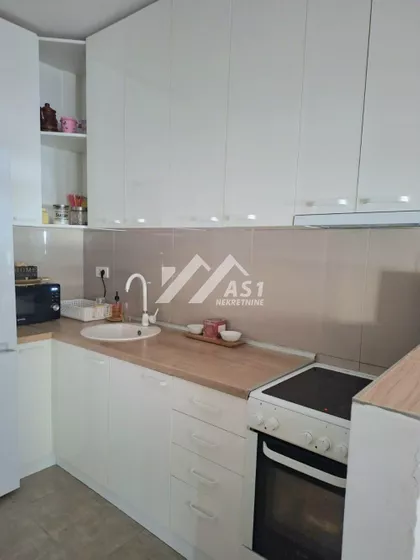 Kopernikova | 4zida.rs