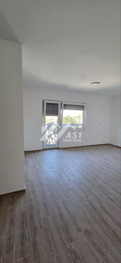 Ive Lole Ribara | 4zida.rs