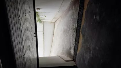 Šafarikova | 4zida.rs