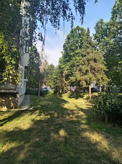 Novi Banovci | 4zida.rs